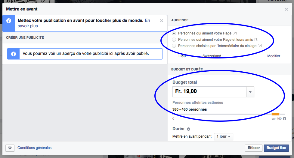 Facebook Boost Post - Options 