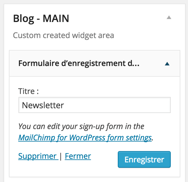 WordPress Widget 